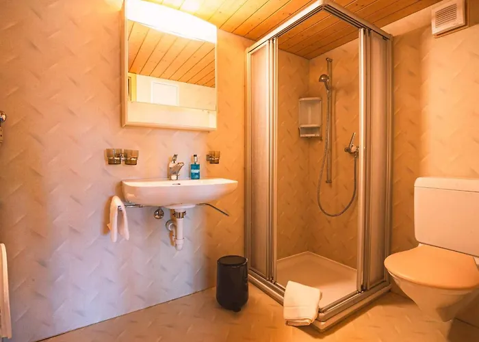 Roesi By Interhome Apartman Adelboden